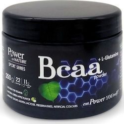 Power health sport series bcaa + l-glutamine Πράσινο Μήλο 250gr