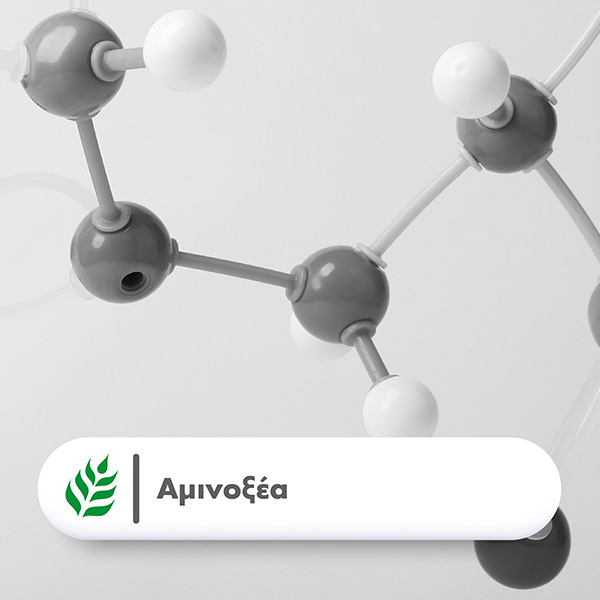 health-aid-aminoksea_24pharmacydeals