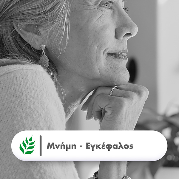 health-aid-mnimi-egkefalos_24pharmacydeals